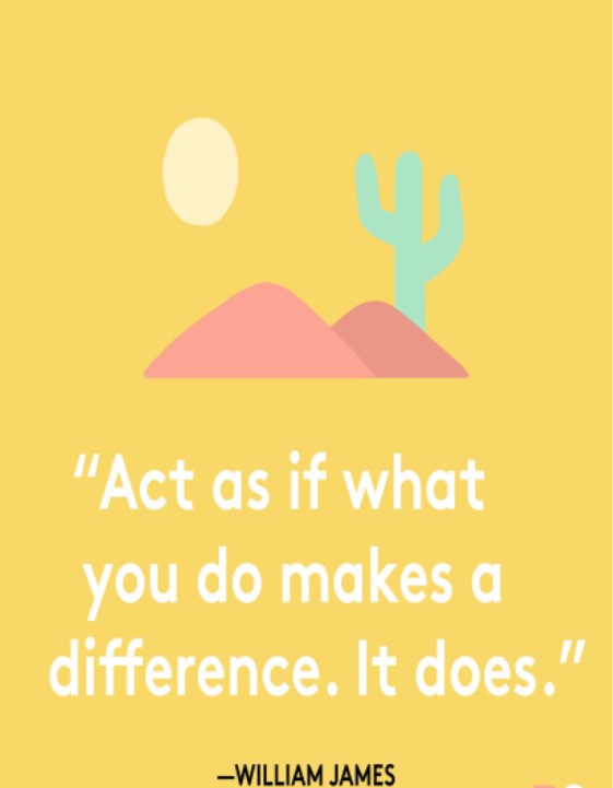 What's New in Plett 10 March 2022