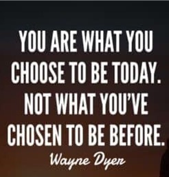 What's New in Plett 10 July 2025