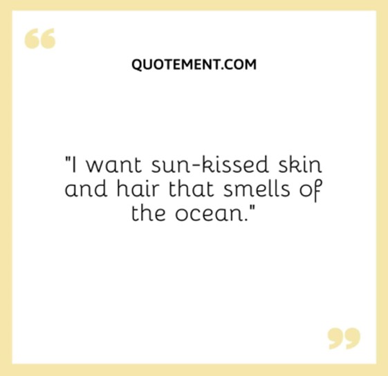 What's New in Plett 8 December 2022