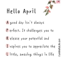 What's New in Plett 3 April 2025