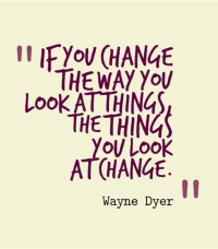 What's New in Plett 24 July 2025