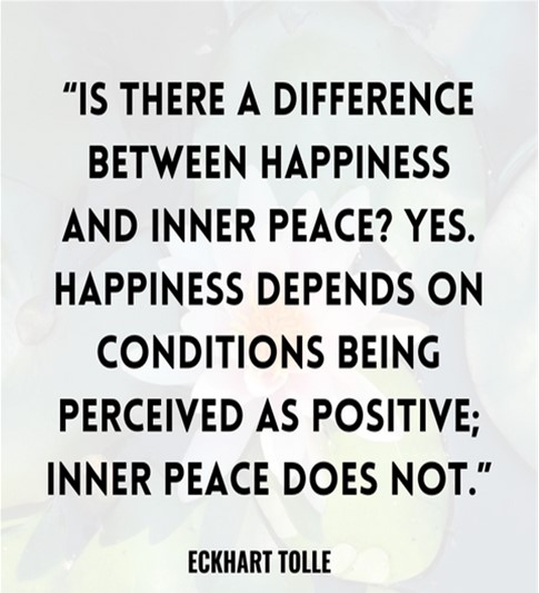 What's New in Plett 31 July 2025