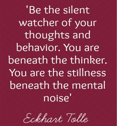 What's New in Plett 7 August 2025