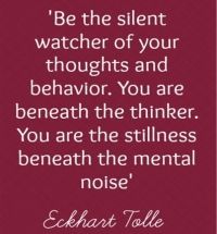 What's New in Plett 7 August 2025