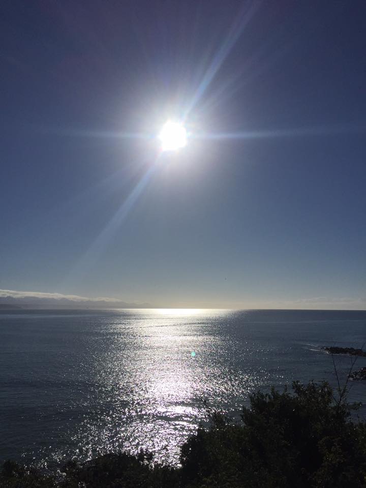 What's New in Plett - 03 November 2016