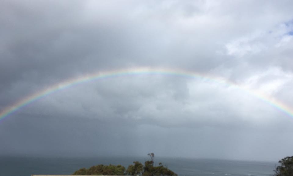 What's New in Plett - 06 October 2016