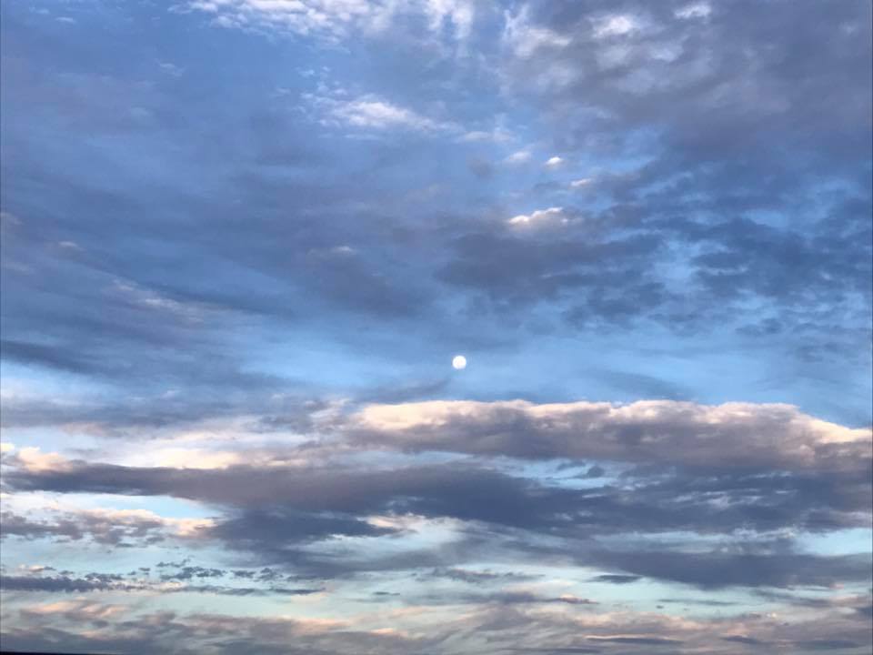 What's New In Plett - 15 December 2016