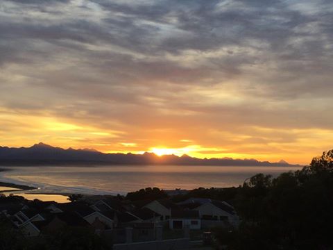 What's New In Plett -17 November 2016