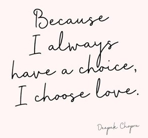 What's New in Plett 19 February 2026