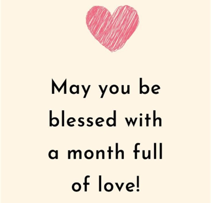 What's New in Plett 2026