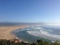 What's New In Plett - 09 February 2017