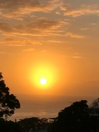 What's New In Plett - 12 January 2016