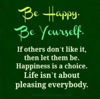 What's New in Plett 29 January 2026