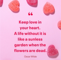 What's New in Plett 12 February 2026