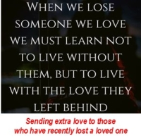 What's New in Plett 12 March 2026