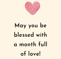 What's New in Plett 5 February 2026