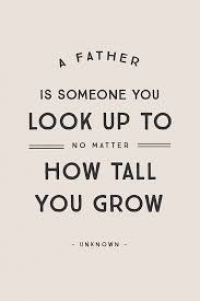 What's New in Plett 13 June 2019