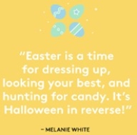 What's New in Plett 2 April 2026