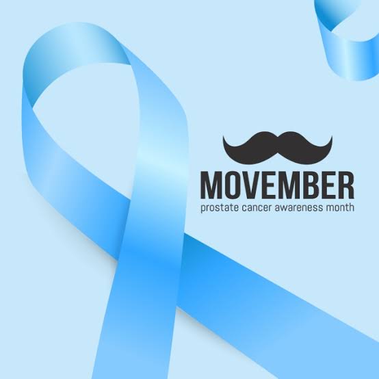 What's New in Plett 21 November 2019