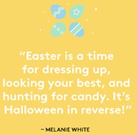 What's New in Plett 2 April 2026