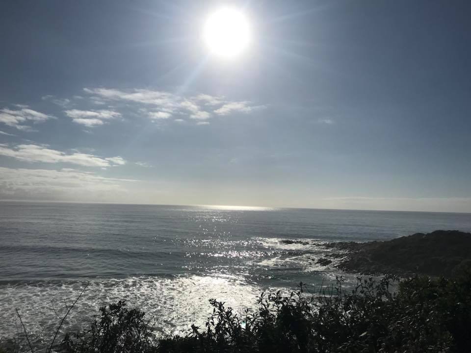 What's New In Plett - 25 January 2018