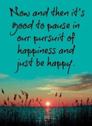 What's New in Plett 28 January 2021