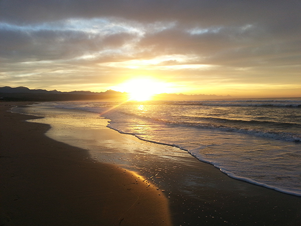 What's New In Plett - 28 September 2017