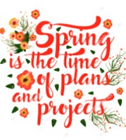 What's New in Plett 10 September 2020