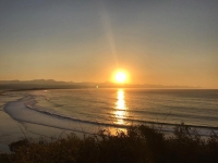 What's New In Plett - 08 June 2017