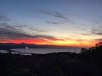 What's New In Plett - 11 August 2017