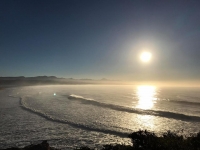 What's New In Plett - 20 April 2017