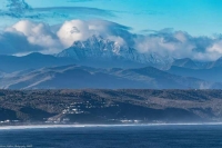 What's New In Plett - 20 July 2017