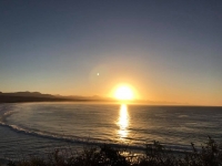 What's New In Plett - 27 July 2017
