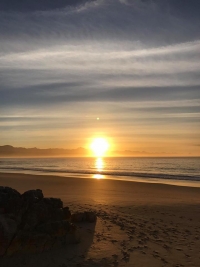 What's New In Plett - 22 June 2017