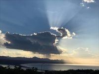 What's New In Plett - 29 June 2017