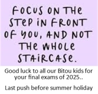 What's New in Plett 6 November 2025