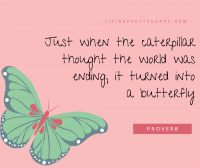 What's New in Plett 14 January 2021