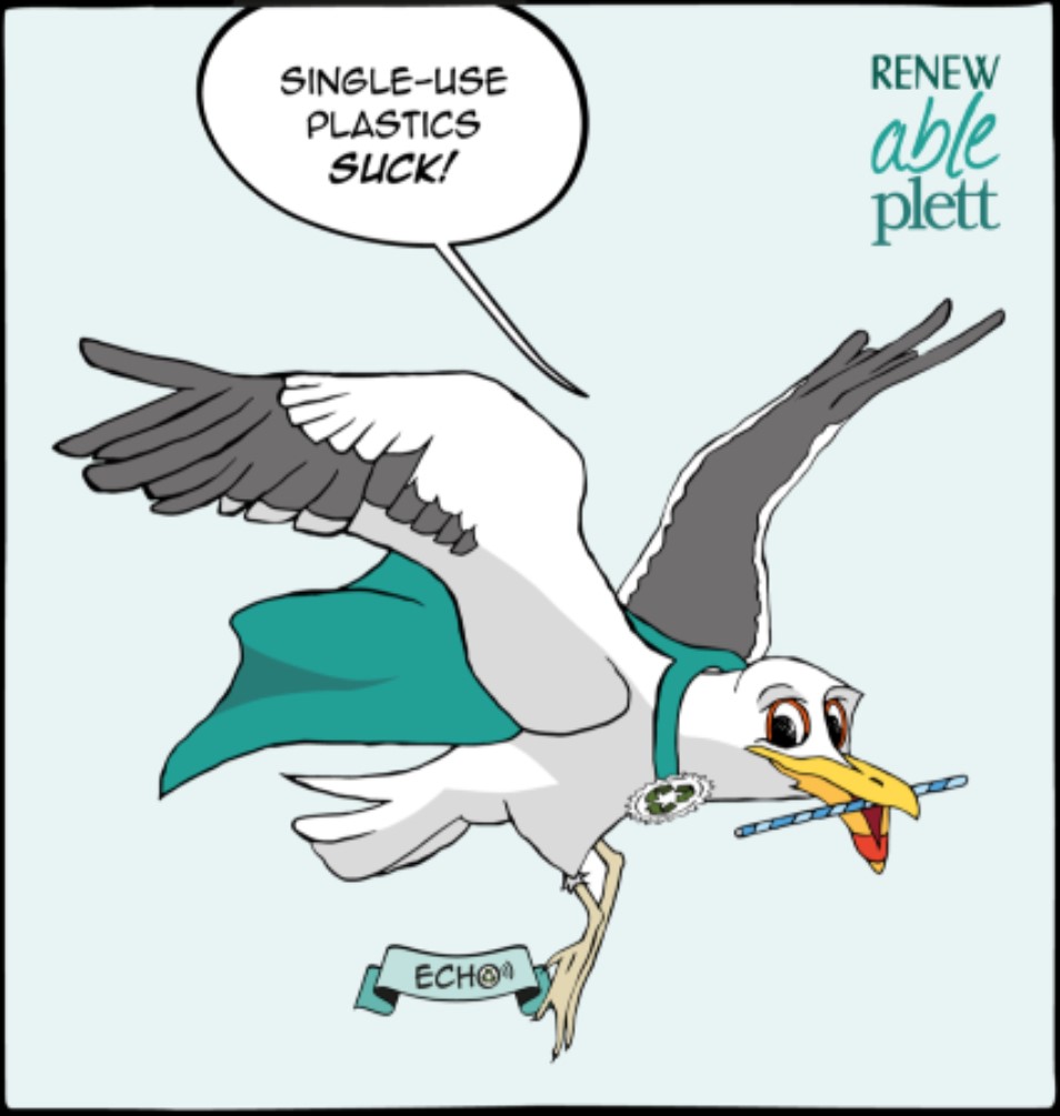 What's New in Plett 10 August 2018