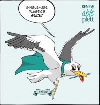 What's New in Plett 10 August 2018