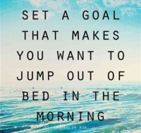 What's New in Plett 13 November 2025