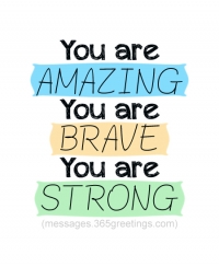 What's New in Plett 18 July 2019