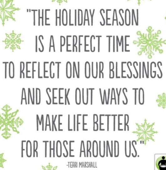 What's New in Plett 4 December 2025