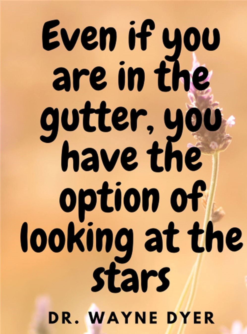 What's New in Plett 9 April 2026